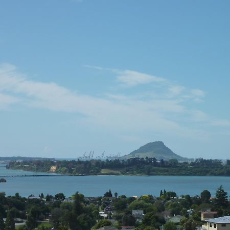 Up In The Stars B&B Tauranga Buitenkant foto